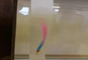 HOW TO DETERMINE WHETHER PHYSICAL CHANGE OR CHEMICAL CHANGE OCCURS WITH CHROMATOGRAPHY FLUID