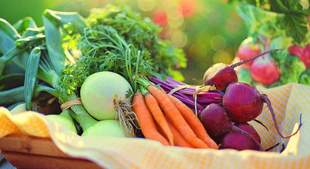 THE BASICS STEPS OF FOOD MANAGEMENT 