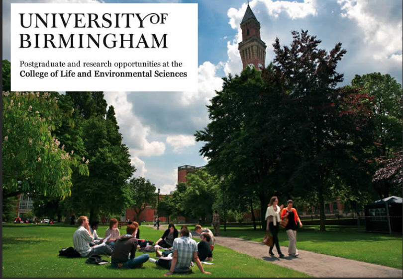 HOW TO APPLY FOR SCHOLARSHIPS FOR INTERNATIONAL STUDENTS AT BIRMINGHAM UNIVERSITY
