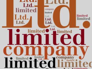 12 Unique Advantages Of Starting A Limited Company