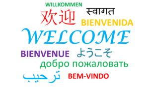 What is Indigenous Language?