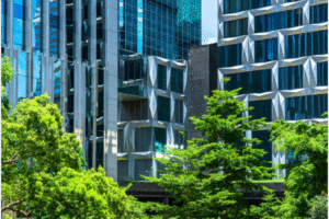 40 Tips How To Reduce Carbon Footprints