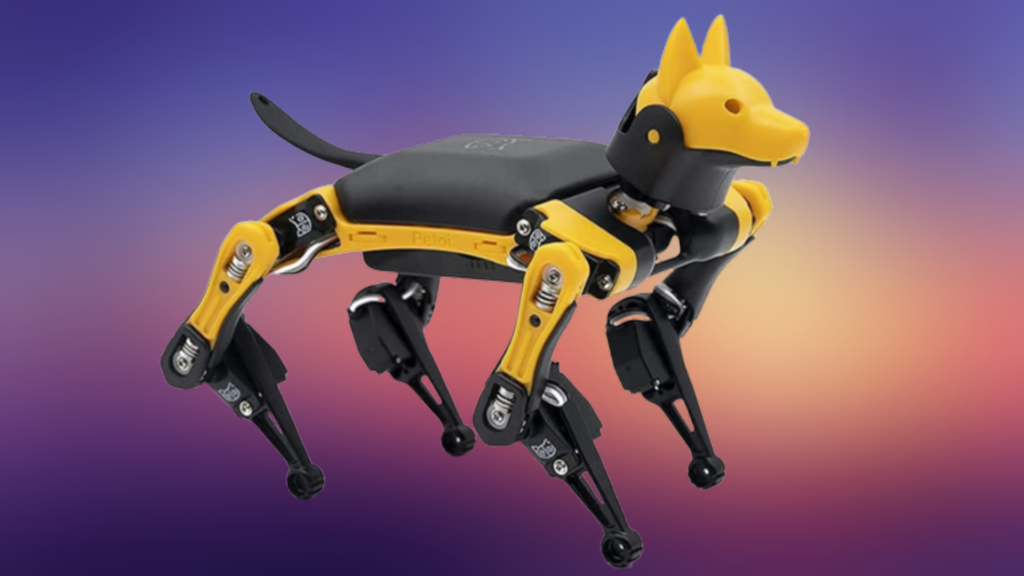 How the Robots Should Be Part of the Approach In Elderly Care